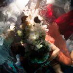 کریستی لی راجرز عکاس زیرآب یا نقاش باروک | مجله اثرهنری، بخش هنری، خبری و تحلیلی مجموعه اثرهنری | مجله اثر هنری ـ «اثرگذارتر باشید»