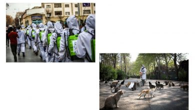 منتخبان ایرانی نمایشگاه کرونا در مونیخ آلمان لینک : https://asarartmagazine.ir/?p=20866 👇 سایت : AsarArtMagazine.ir اینستاگرام :‌ instagram.com/AsarArtMagazine تلگرام : t.me/AsarArtMagazine 👆