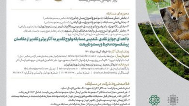فراخوان سومین مسابقه عکاسی تنوع زیستی تهران ۱۴۰۰ مجله اثر‌هنری ـ اثر هنری