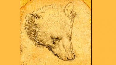 12 میلیون دلار برای سر خرس داوینچی مجله اثر‌هنری ـ اثر هنری