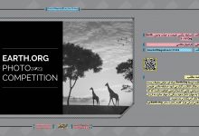 مسابقه عکس طبیعت و حیات وحش Earth.Org 2023 | مجله اثرهنری، بخش هنری، خبری و تحلیلی مجموعه اثرهنری | مجله اثر هنری ـ «اثرگذارتر باشید»